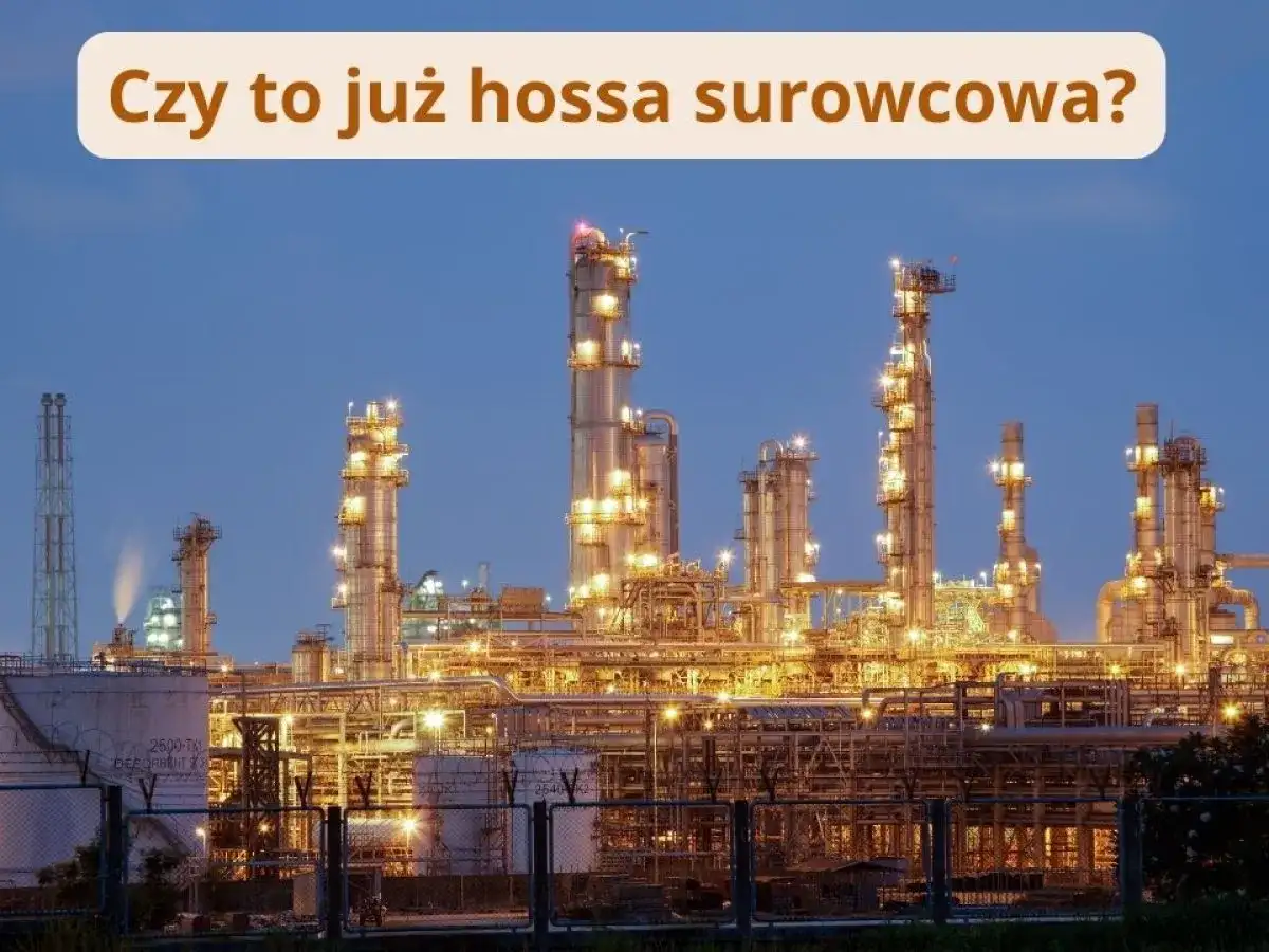 PKO Surowców Globalny - Czy to dobra inwestycja? Analiza funduszu